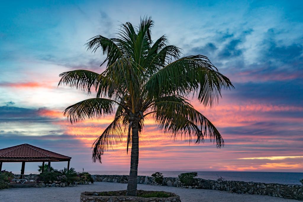 Marazul Dive Resort Westpunt Экстерьер фото